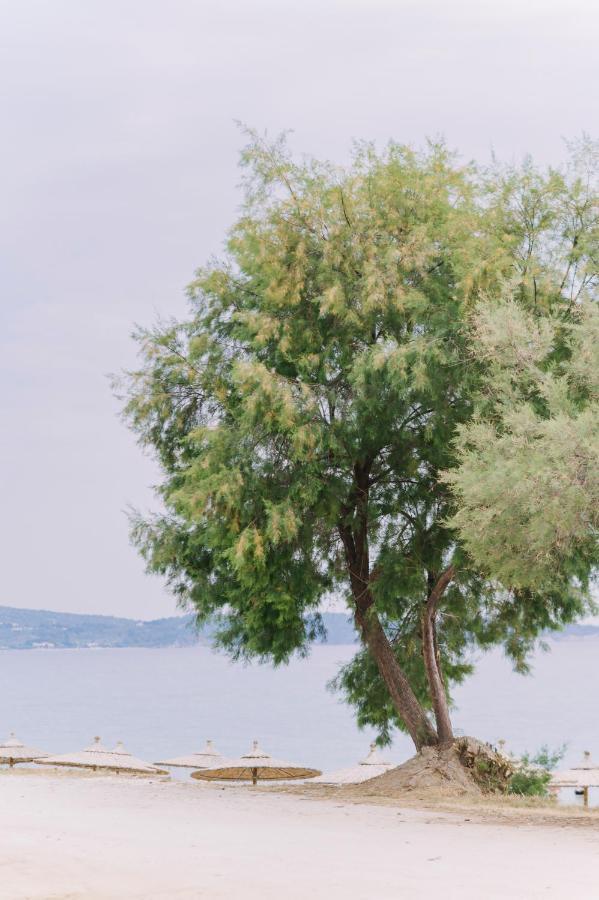 يميناريا Blue Stone Luxury Suites المظهر الخارجي الصورة